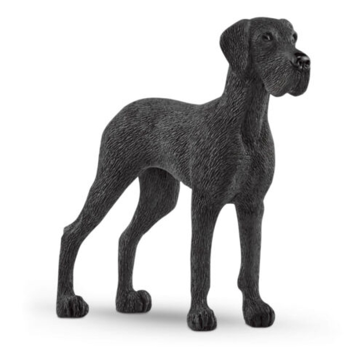 Great dane store sale