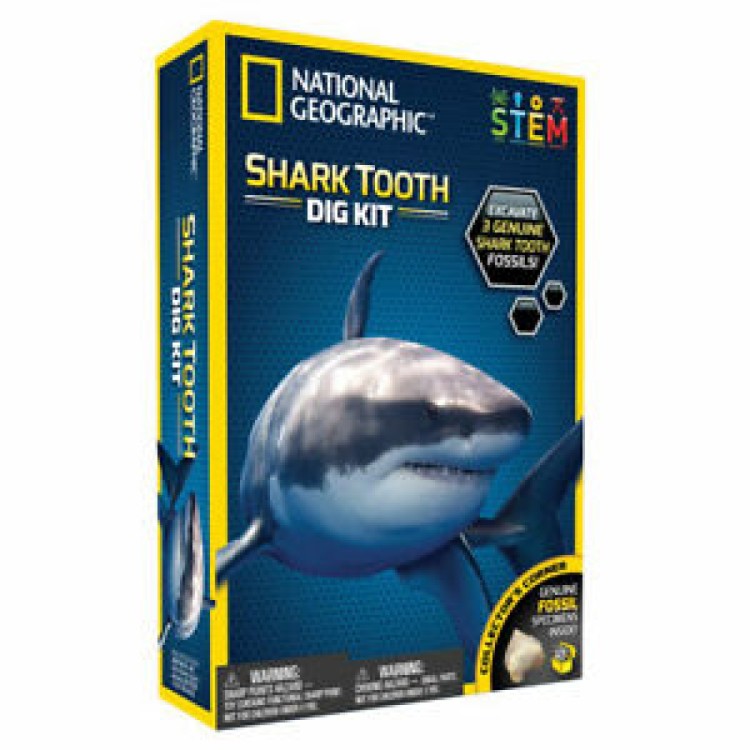 National Geographic Shark Tooth Dig Kit