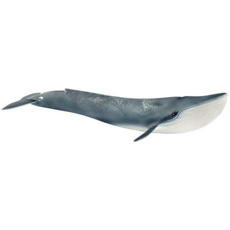 Schleich Blue Whale 14806