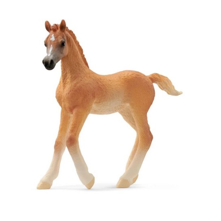 Schleich Horse Club - Arabian Foal 13984