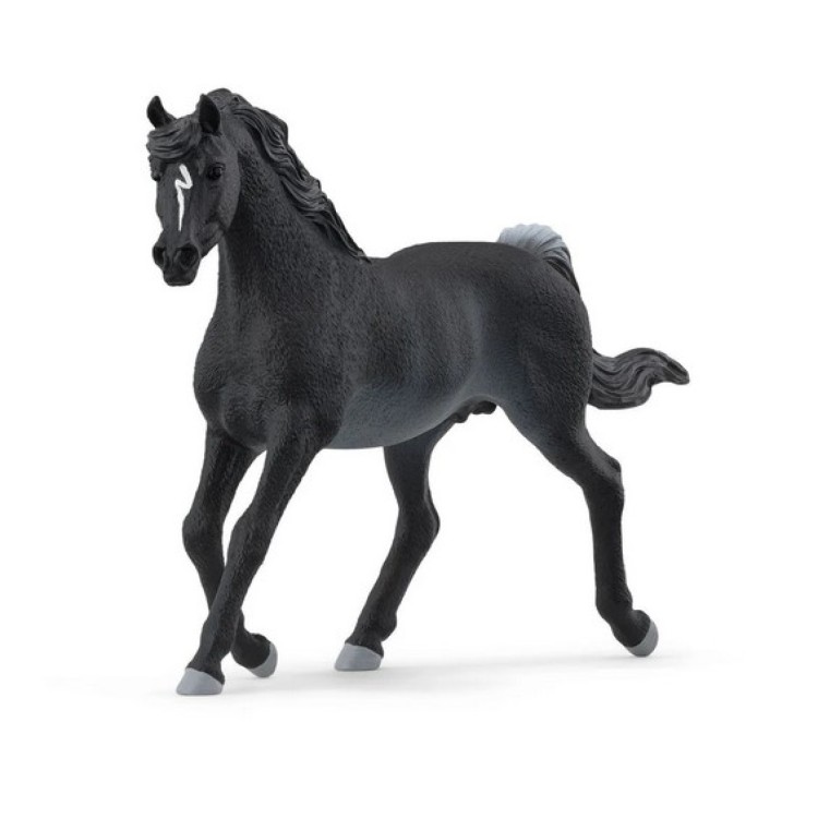 Schleich Horse Club - Arabian Stallion 13981