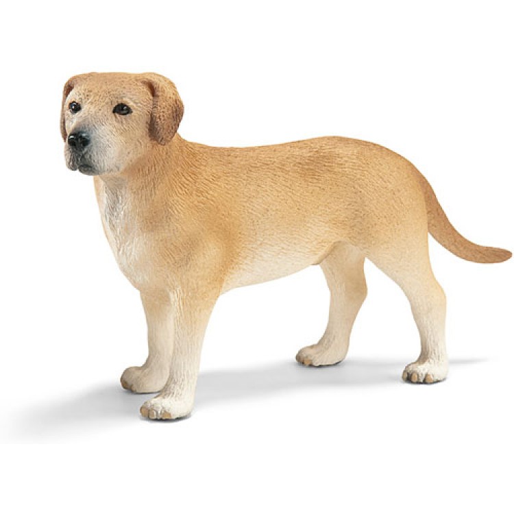 Schleich Labrador Male 16386
