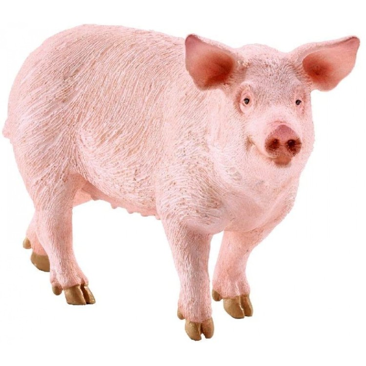 Schleich Pig, Standing 13782