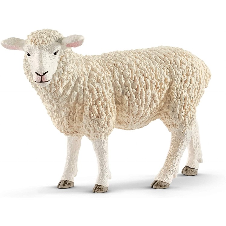 Schleich Sheep, Standing 13882