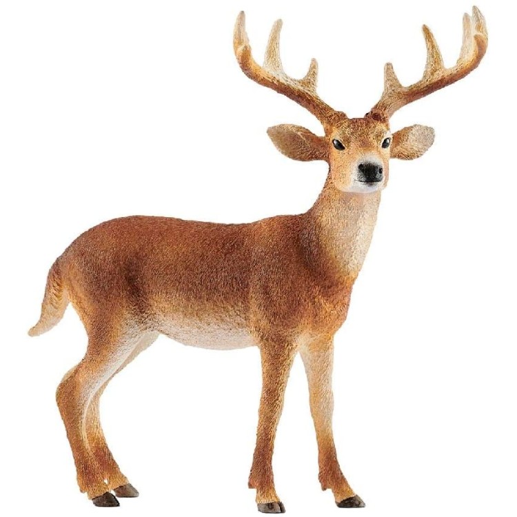 Schleich White-Tailed Buck 14818
