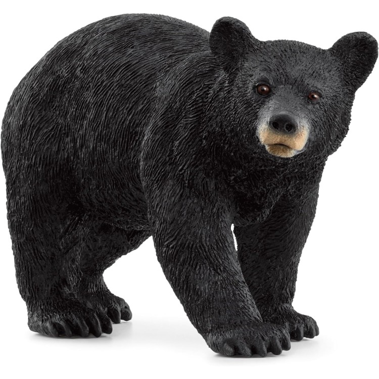 Schleich Wild Life - American Black Bear 14869