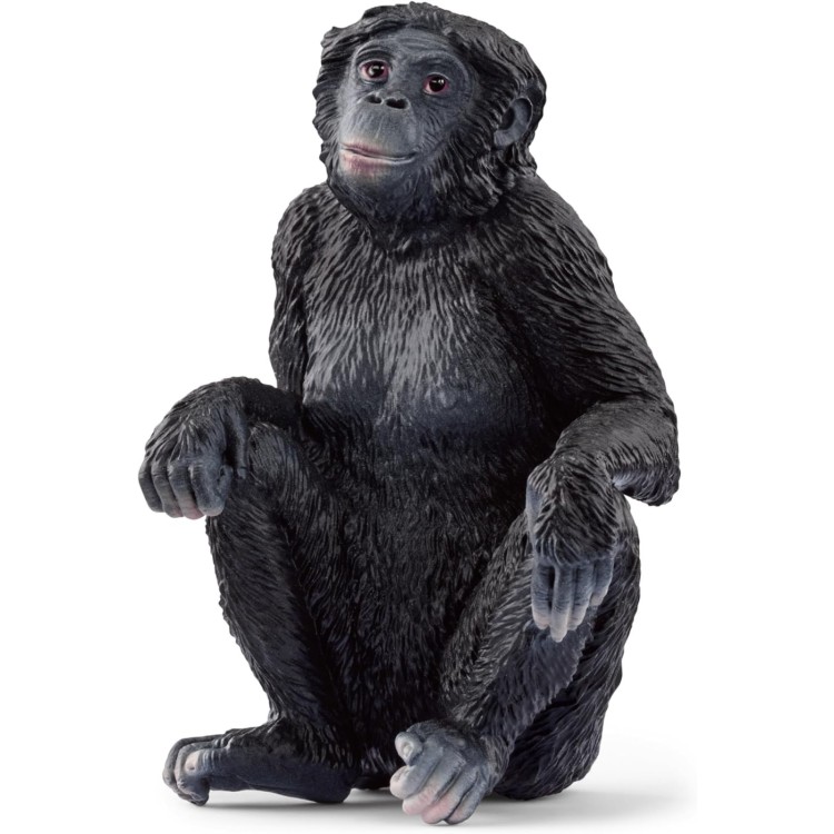 Schleich Wild Life - Bonobo Female 14875