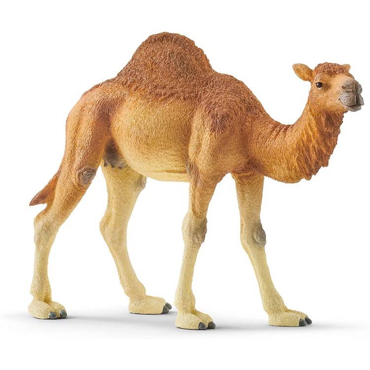 Schleich Wild Life - Dromedary 14832