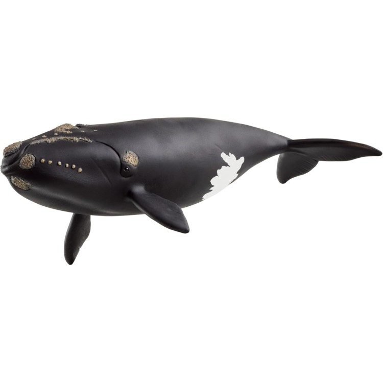 Schleich Wild Life - North Atlantic Right Whale 14878