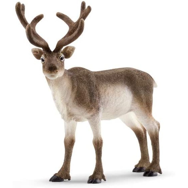 Schleich Wild Life - Reindeer 14837