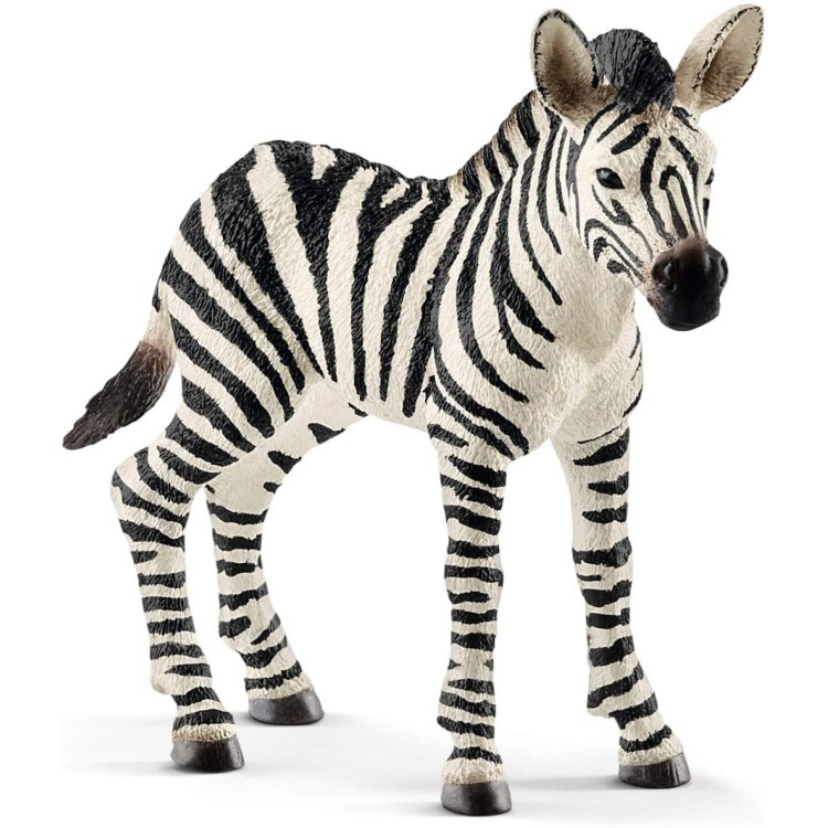 Schleich Wild Life - Zebra Foal 14811