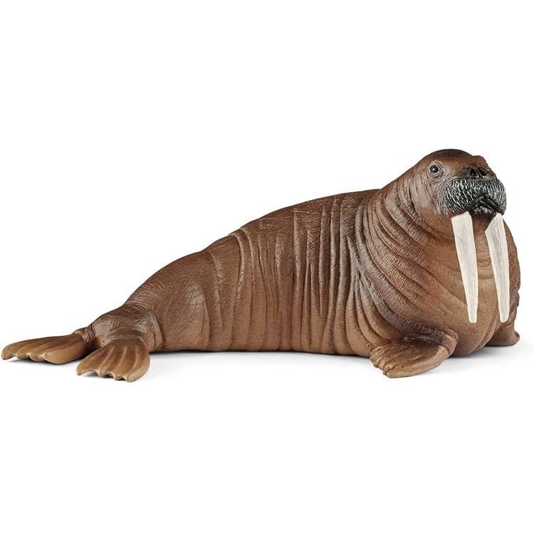 Schleich Wild Life Walrus 14803