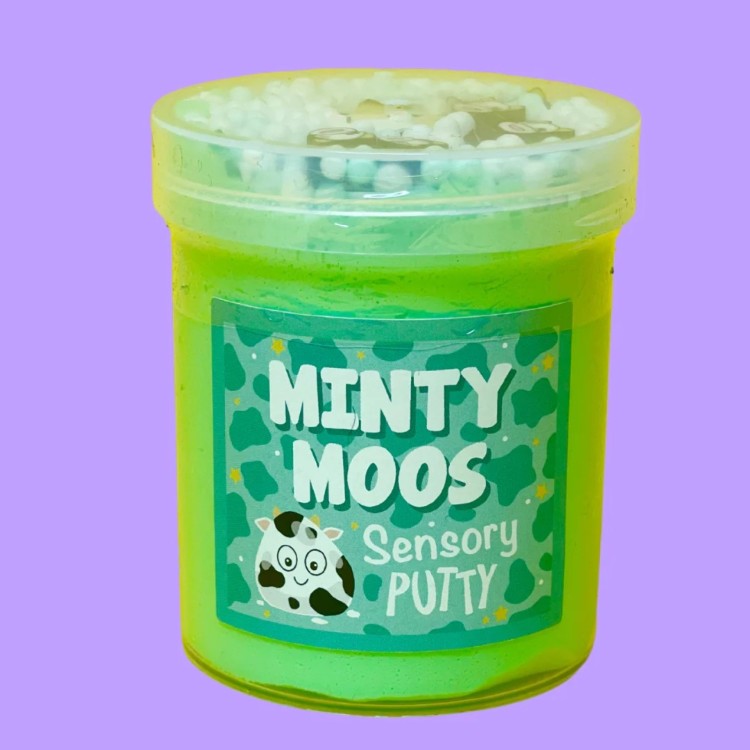 Slime Partys Sensory Putty - Minty Moos