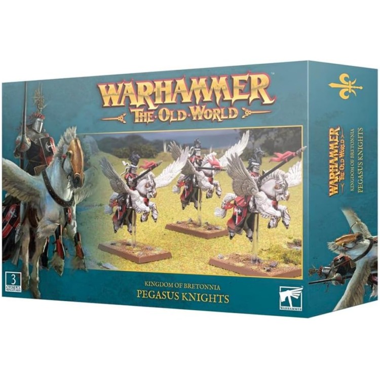 Warhammer The Old World Kingdom of Bretonnia Pegasus Knights